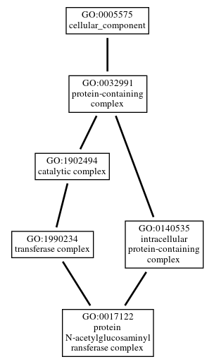 Graph of GO:0017122