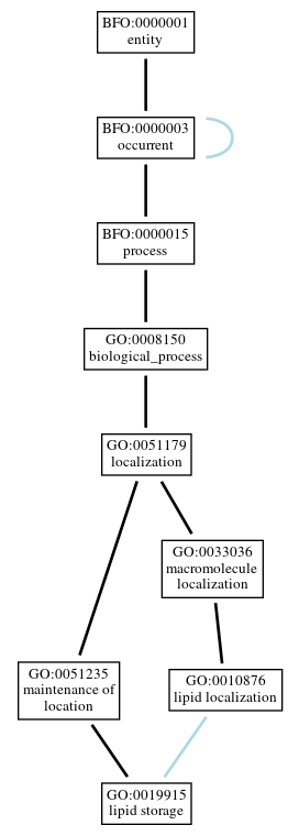 Graph of GO:0019915