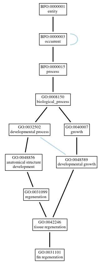 Graph of GO:0031101