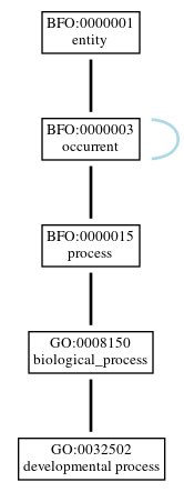 Graph of GO:0032502