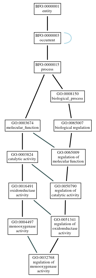 Graph of GO:0032768