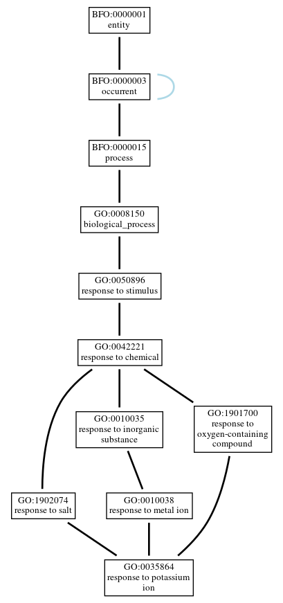 Graph of GO:0035864