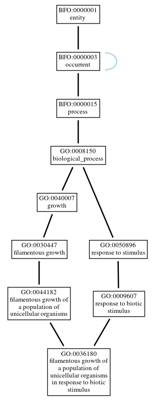 Graph of GO:0036180