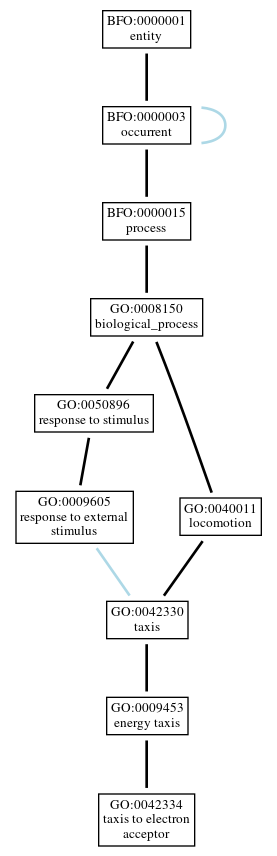 Graph of GO:0042334