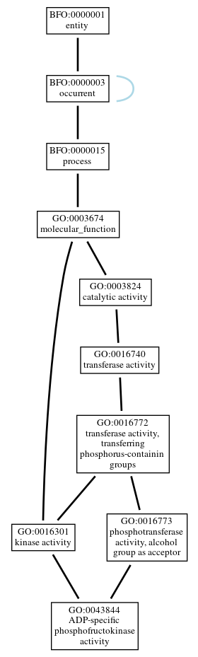 Graph of GO:0043844