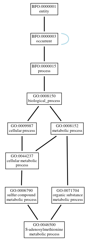 Graph of GO:0046500