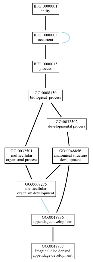 Graph of GO:0048737