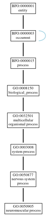 Graph of GO:0050905