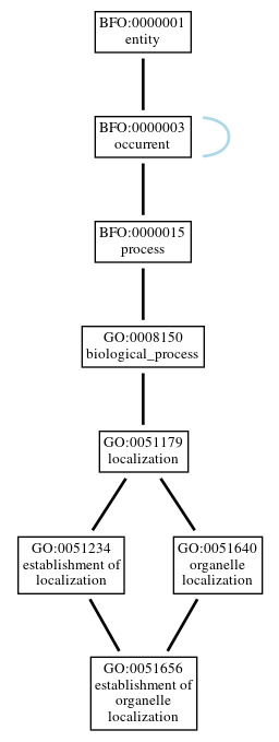 Graph of GO:0051656