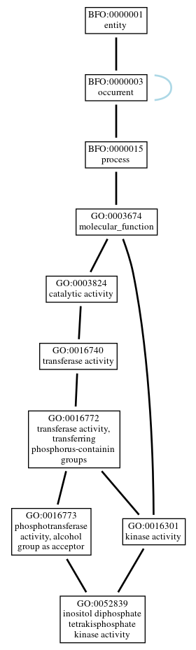 Graph of GO:0052839