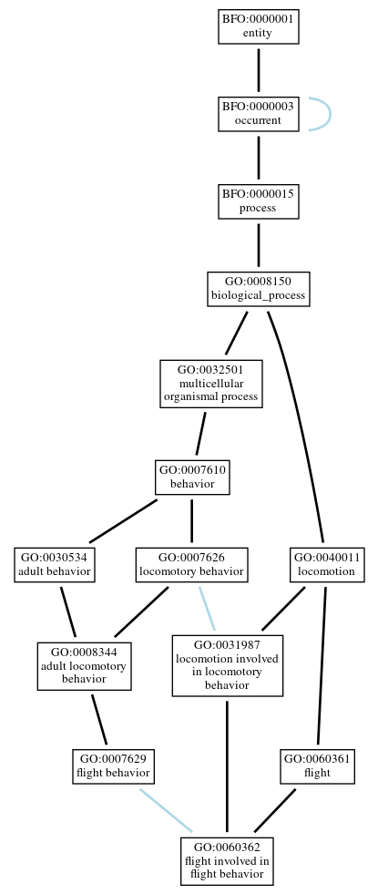 Graph of GO:0060362