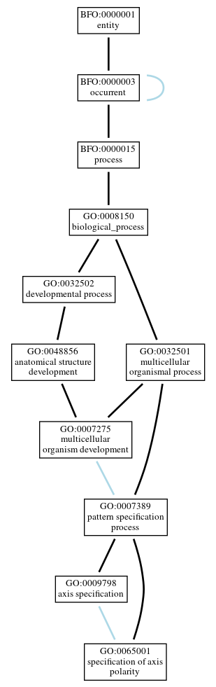 Graph of GO:0065001