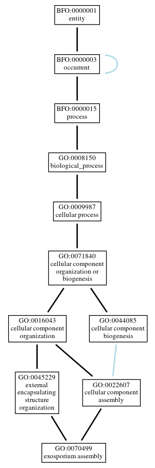 Graph of GO:0070499