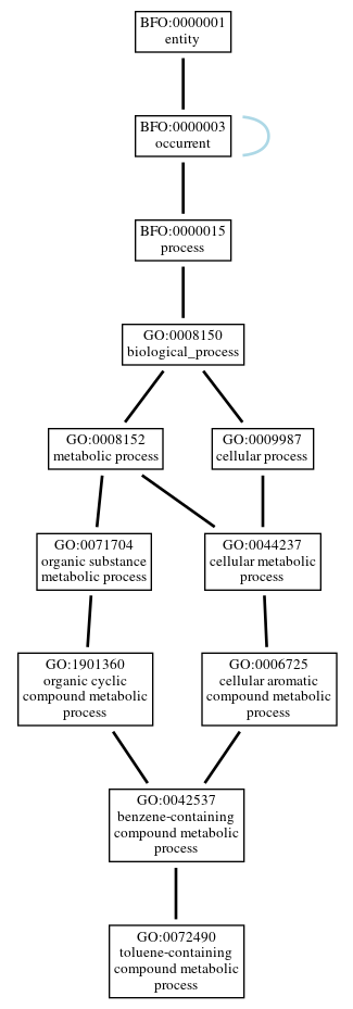 Graph of GO:0072490