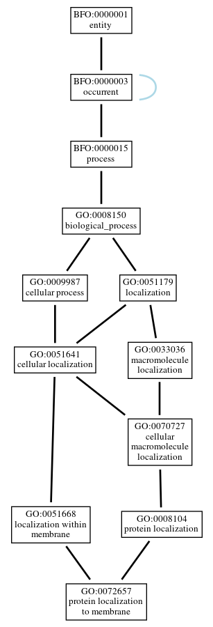 Graph of GO:0072657