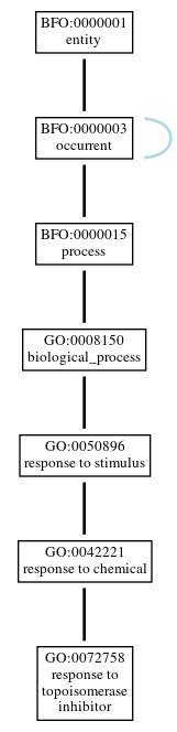 Graph of GO:0072758