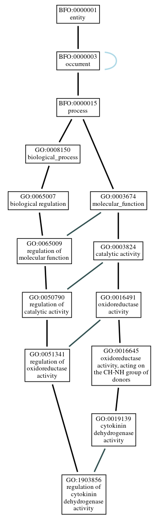 Graph of GO:1903856