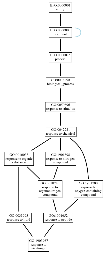 Graph of GO:1903967