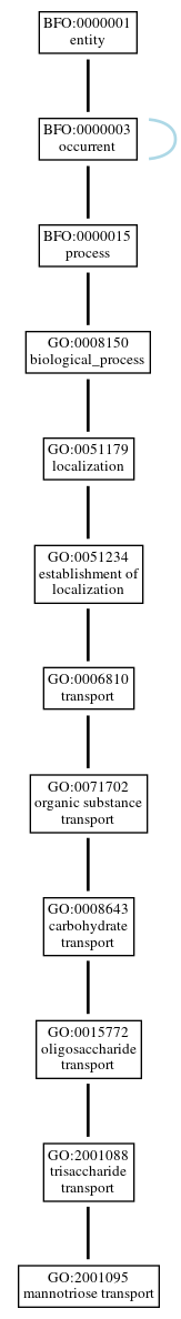 Graph of GO:2001095