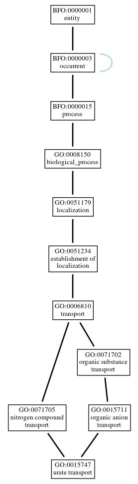 Graph of GO:0015747