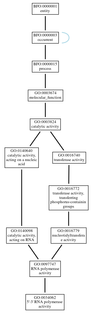 Graph of GO:0034062