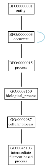 Graph of GO:0045103