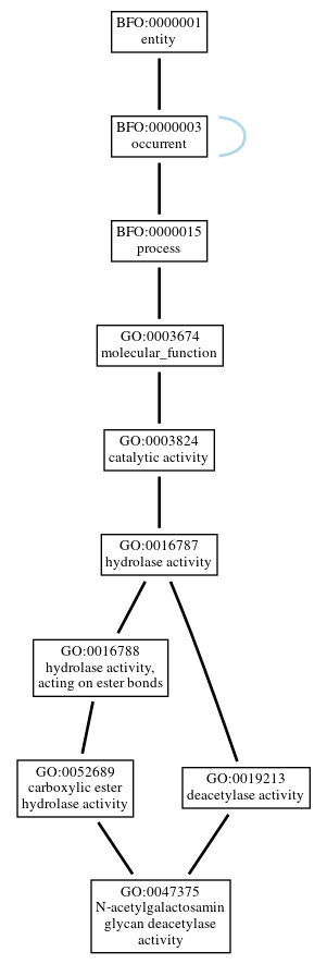 Graph of GO:0047375