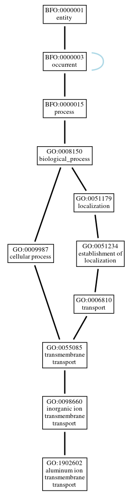 Graph of GO:1902602