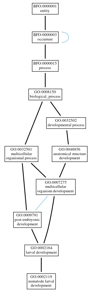 Graph of GO:0002119