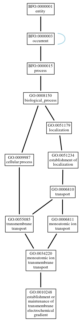 Graph of GO:0010248