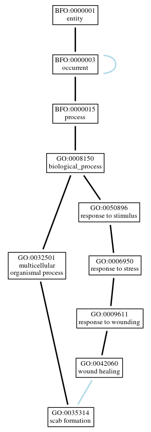 Graph of GO:0035314