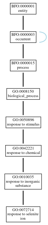 Graph of GO:0072714