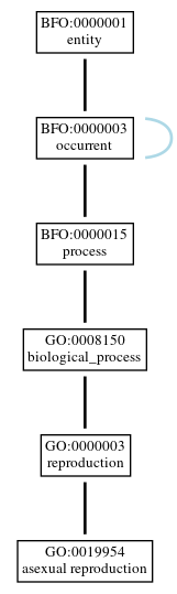 Graph of GO:0019954