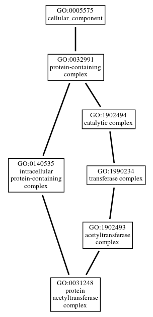 Graph of GO:0031248