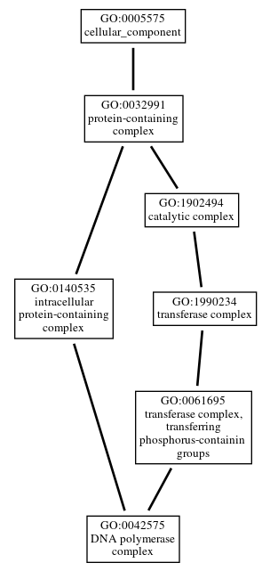 Graph of GO:0042575
