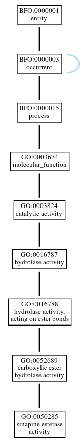 Graph of GO:0050285