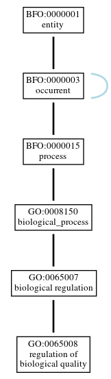 Graph of GO:0065008