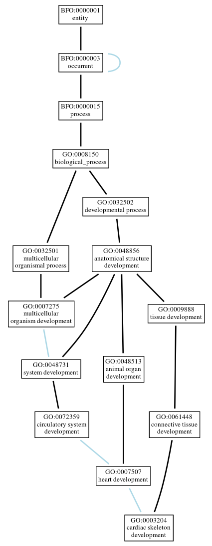 Graph of GO:0003204