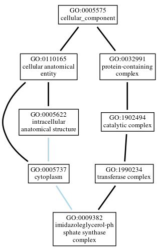 Graph of GO:0009382