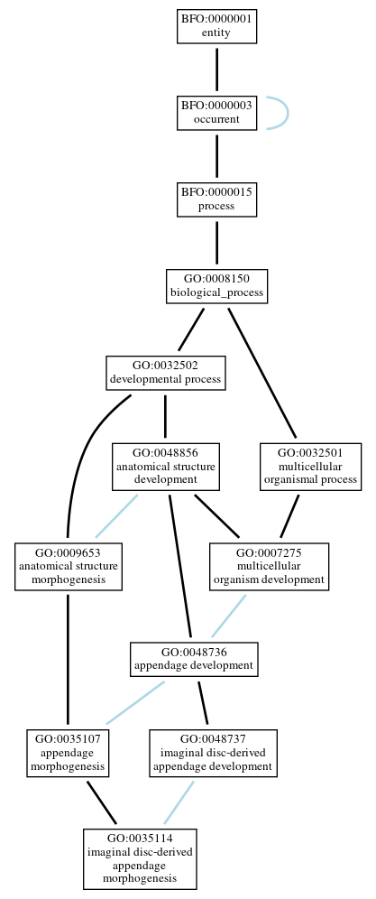 Graph of GO:0035114