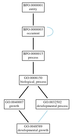 Graph of GO:0048589