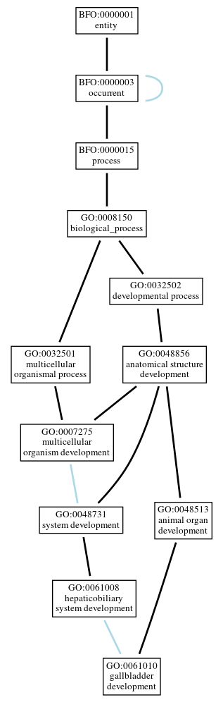 Graph of GO:0061010