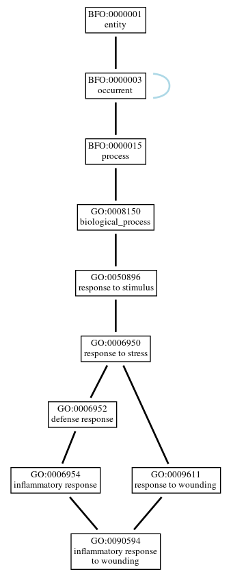 Graph of GO:0090594