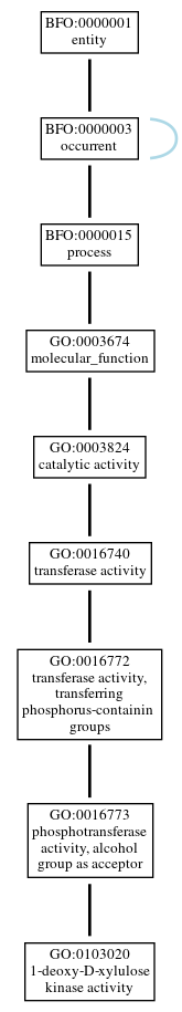 Graph of GO:0103020