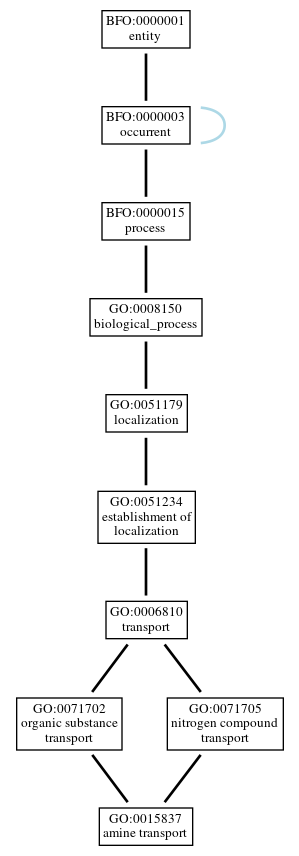 Graph of GO:0015837