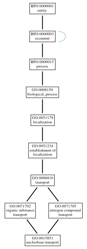 Graph of GO:0015851