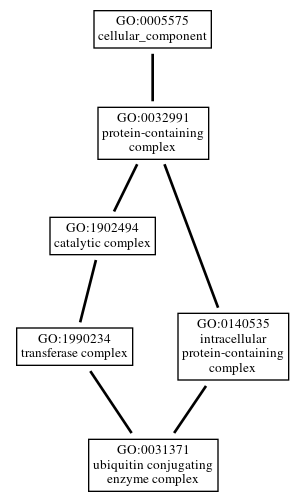 Graph of GO:0031371