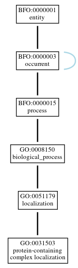 Graph of GO:0031503