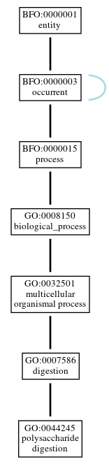 Graph of GO:0044245