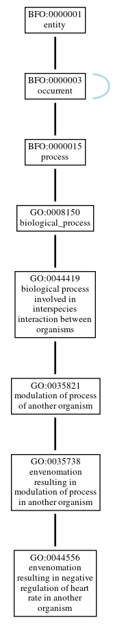 Graph of GO:0044556